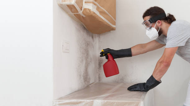 Professional Bathroom Mold Removal technician working in Marion, TX